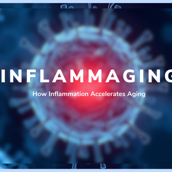 Inflammaging: How Inflammation Accelerates Aging